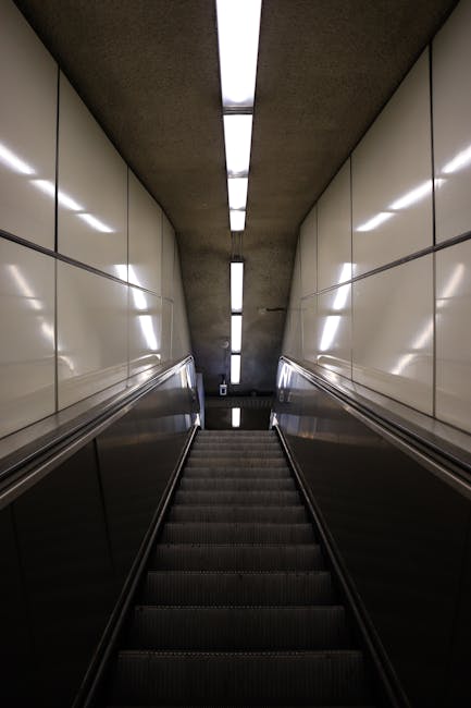 A downward view of an escalator inside a building, positioned between smooth, cream-colored wall panels with reflective surfaces. The escalator's black rubber steps are in the foreground, leading upward out of the frame, with metal handrails running along both sides. Overhead, long fluorescent light fixtures illuminate the space, casting a bright, even light on the interior. The setting appears clean and modern, typical of an underground or urban transit station, with lighting and design elements emphasizing the vertical movement and travel corridor, relevant to home relocation and moving logistics handled by Man with Van Woodside Park.